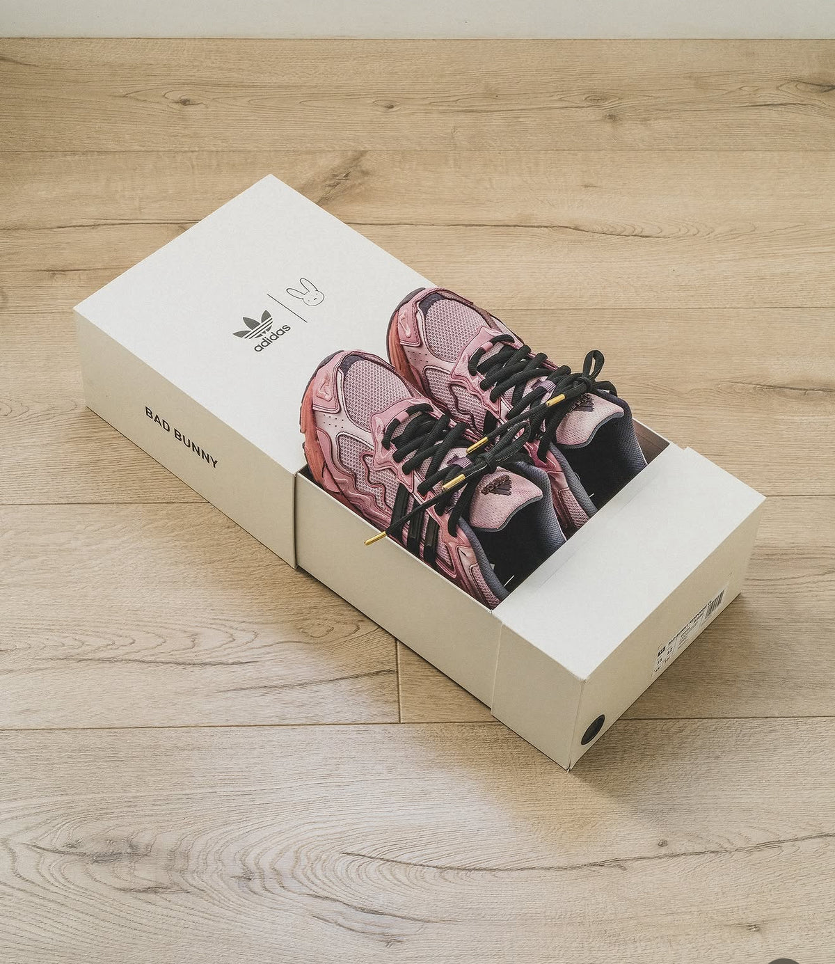 Bad Bunny CL Response cabernet concept